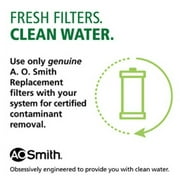 AO Smith Main Faucet Filter Replacement