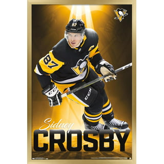 Sidney Crosby Penguins Reebok NHL Gray/Black Shootout Long Sleeve T-Shirt