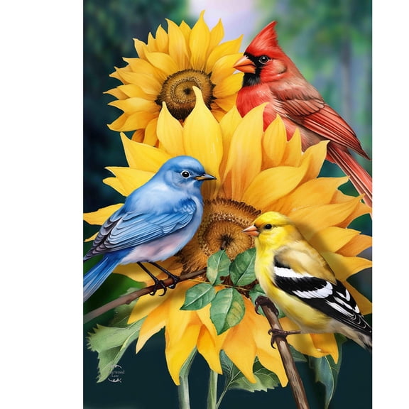 Briarwood Lane Summer Garden Flag 12x18 For Outdoor Birds in the Garden For Summer Garden Flag Flags For Outside