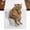 Orange, variant on Funny Tigers Burlap Cotton Table Runner 13x48 Inches Long, Cute Art Fun Lovely Animals on Toilets Farmhouse Table Runners, Outdoor Dining Tablecloths Decor for Baby Shower/Party/Wedding