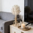 thumbnail image 5 of Beautynvta 60 Pcs Bunny Tails Dried Flower Branches with Vase for Wedding Boho Decor, White Fake Rabbit Tail Grass for Flowers Arrangements DIY Crafts Home Table Decor, 5 of 7