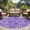 Purple, variant on Area Rug 2 x 3 Ft, Light Blue Teal Indoor Accent Bathroom Rugs for Kitchen/Laundry Room, Retro Botanical Abstract Art Washable Non-Slip Runner Floor Mat for Entryway, Living Room