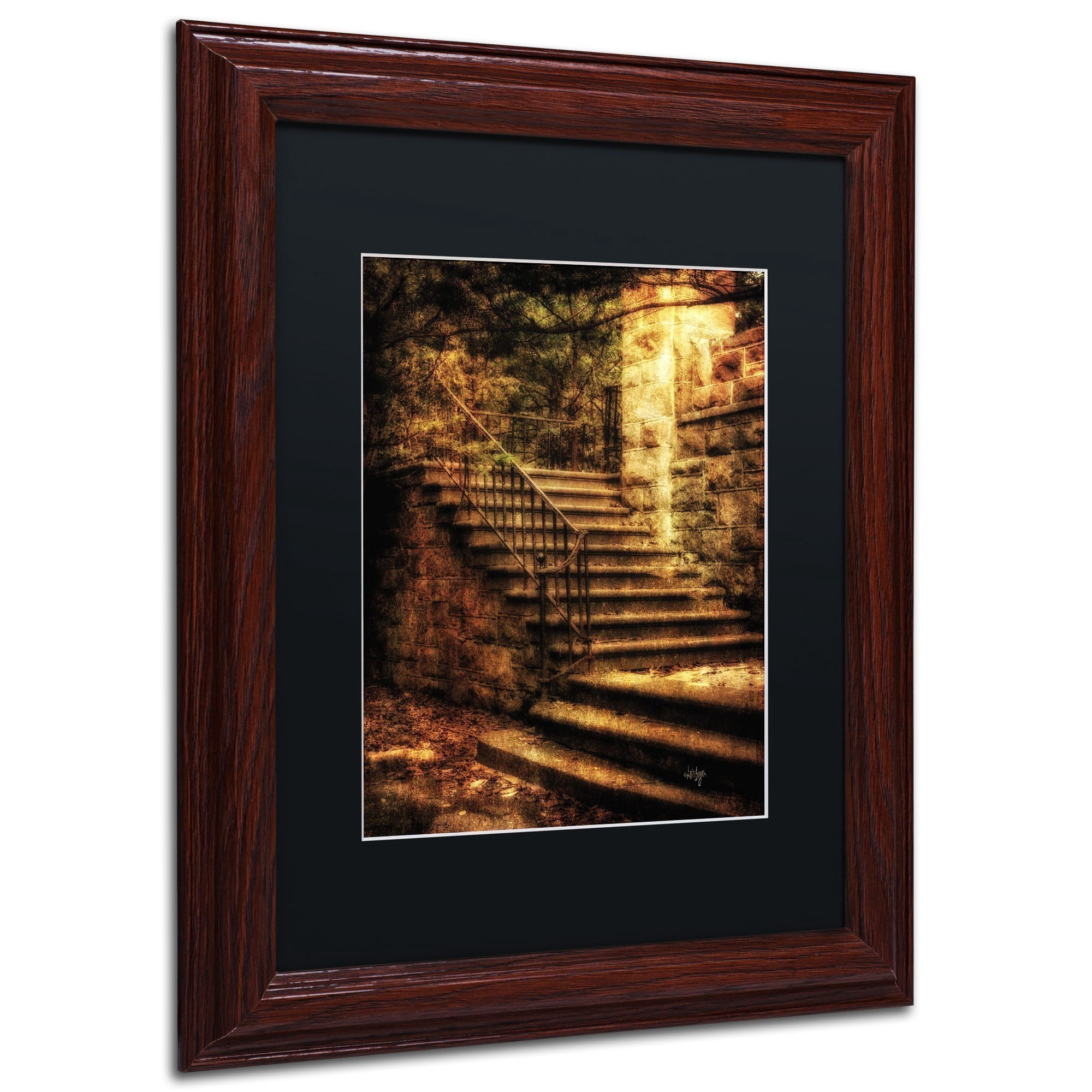 Trademark Fine Art "Abandoned Stone Staircase" Canvas Art by Lois Bryan, Black Mat, Wood Frame