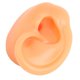 thumbnail image 4 of Modelo de oreja de silicona, oreja derecha Flexible suave, modelo de oreja humana reutilizable para perforación de oreja, exhibición de pendientes de entrenamiento, 4 of 8