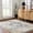 Beige, Blue / Brend, variant on Hauteloom Bindi Living Room, Bedroom Area Rug - Oriental Bohemian Vintage Carpet - Red, Cream, Blue, Brown - 2' x 3'