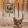 thumbnail image 6 of 1pc "Chickens Make Me Happy Humans Make My Head Hurt" Funny Chicken Metal Tin Sign 12x8in/30x20cm Rooster and Hen Art Plaque Poster Wall Decor for Outdoor Yard Garden Chicken Coop Shed, 6 of 7