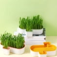 thumbnail image 4 of SIfdSeng Bouteille de Jardinière Hydroponique pour Chat d'Intérieur Bouteille de Jardinière Hydroponique pour Chat d'Intérieur pour Chat Chat Hydroponique, 4 of 4