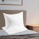 thumbnail image 1 of Rellenos de almohada de satén a rayas | Paquete de 2 núcleos de almohada de poliéster para cama y coche | Tamaño estándar de 43 x 66 cm | Suaves y con buen soporte para dormir en diferentes, 1 of 6