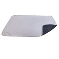 thumbnail image 1 of Manta impermeable para sofá de perros y gatos, almohadilla absorbente para orinar, lavable, 1 of 5