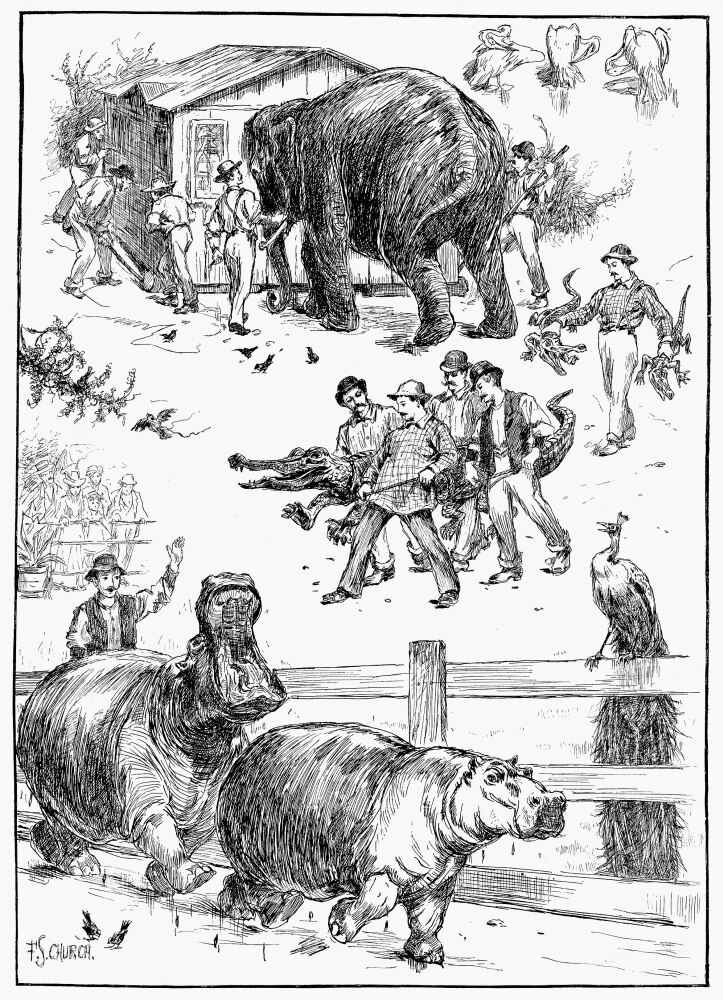 Central Park Zoo, 1890. /Nmoving Animals From Winter To Summer Quarters