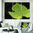 thumbnail image 1 of Designart - Handpainted Green Leaf On Black - Traditional Canvas Artwork, 1 of 1