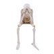 thumbnail image 2 of Figura Esqueleto Resina para Halloween No Hables Mal Estantería Borde Repisa Mesa, 2 of 4