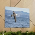 thumbnail image 6 of Albatross Hunting Albatross on Hunt Print Animal Wall Art Wildlife Canvas Prints Wall Art Ready to Hang Unframed, 6 of 18