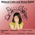 thumbnail image 4 of Sterochol - Probiotic Stress and Heart Healthy Formula - Ashwaganda Stress Relief - Balance Cholesterol - Support Cardio Health - Can Be Used in Conjunction With Statins - Cardio Supporting Probiotic, 4 of 6