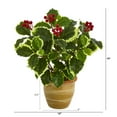 thumbnail image 3 of Nearly Natural 14in. Variegated Holly Leaf Artificial Plant in Ceramic Planter (Real Touch), 3 of 3