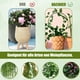 thumbnail image 4 of Inteprter 2 unids/set soporte para plantas de jardín resistente y duradero para varias plantas amplia aplicación hierro fácil Jardín y Patio, 4 of 6