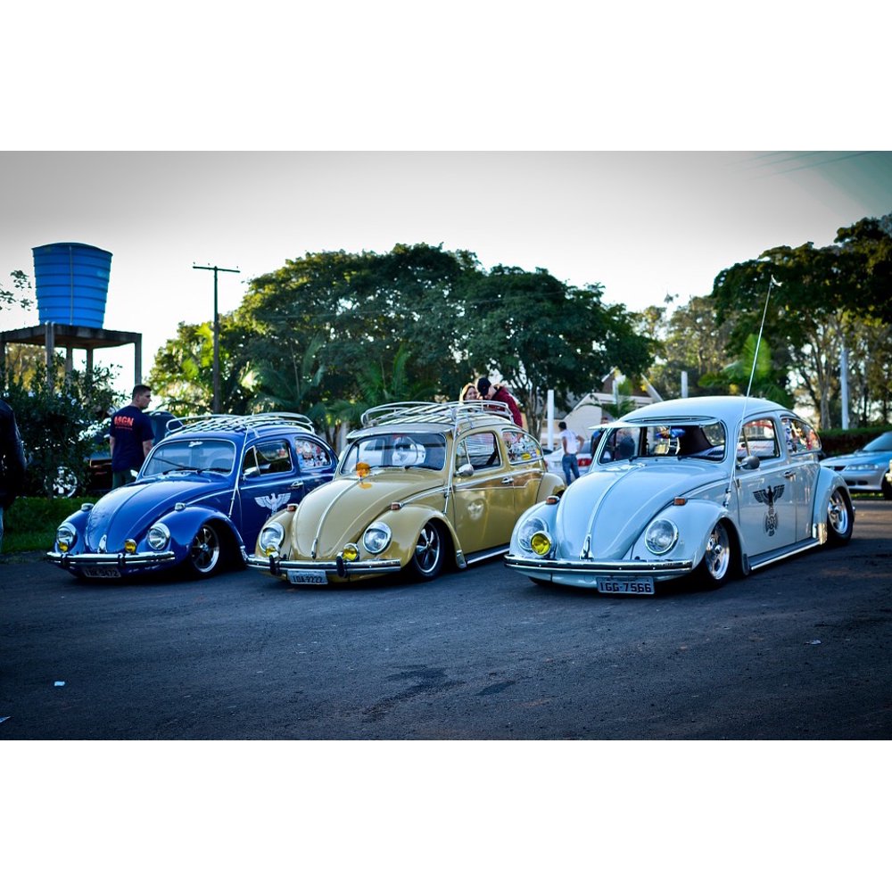 Punch Buggy Voltswagon Car Slug Bug Beetle20 Inch By 30