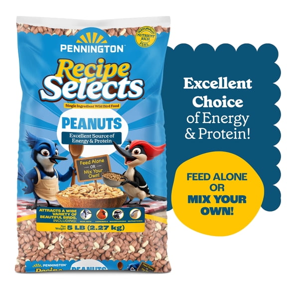 Pennington Recipe Selects Shelled Peanuts for Birds and Wildlife, Wild Bird Food, 5 lb Bag, 1 Pack, Dry