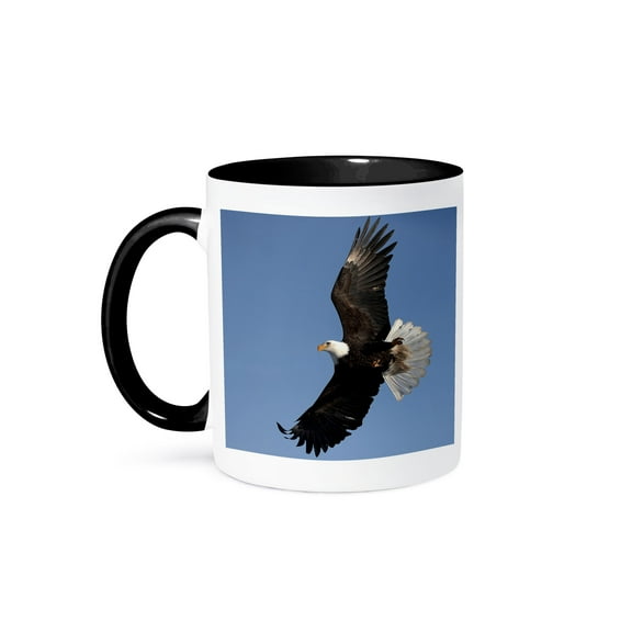 3dRose, Bald Eagle in Flight, Homer, Alaska - NA02 DNO0194 - David Northcott, 11oz Two-Tone Black Mug