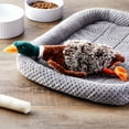 Vibrant Life Plush Duck Dog Toy with Honker - Walmart.com