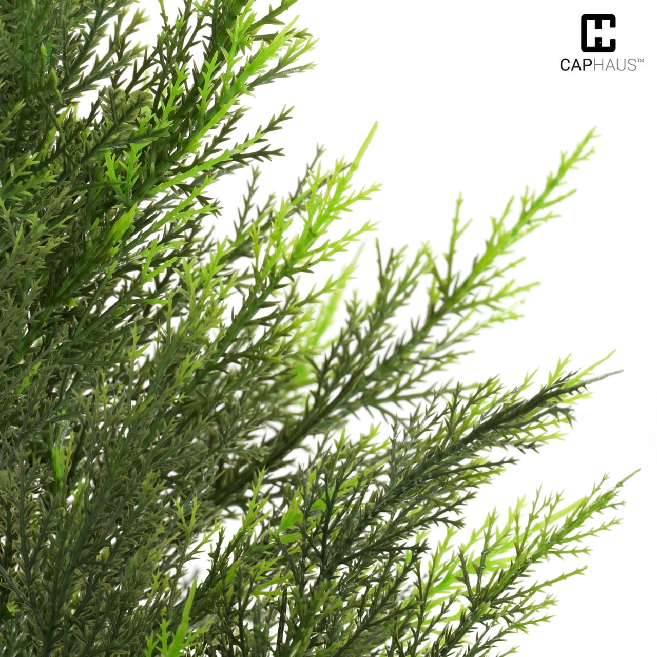 CAPHAUS 3 FT, 36 Inch Artificial Cedar Tree set of 2, Natural Faux Plants for Outside Planter, UV Resistant, Fake Boxwood Topiary w/ Dried Moss, Artificial Tree Indoor, Outdoor Patio Decor
