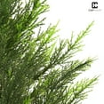 thumbnail image 6 of CAPHAUS 3 FT, 36 Inch Artificial Cedar Tree set of 2, Natural Faux Plants for Outside Planter, UV Resistant, Fake Boxwood Topiary w/ Dried Moss, Artificial Tree Indoor, Outdoor Patio Decor, 6 of 9