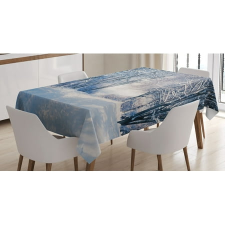 

Winter Tablecloth Alley in Snowy Forest Cold Freezing Weather Rural Nature Outdoors Woodland Rectangular Table Cover for Dining Room Kitchen 60 X 84 Inches Blue Black White by Ambesonne