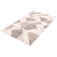thumbnail image 4 of ECARPET Paige Contemporary/Modern Area Rug for Living Room, Bedroom, Dining Room, Entrance, Hallway and More., 4 of 9