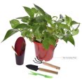 thumbnail image 3 of 12PCS Mini Garden Planting Tool Set Bonsai Succulent Transplanting Miniature Fairy Mini Garden Planting Gardening Hand Tools, 3 of 7