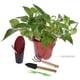 thumbnail image 3 of Juego de 12 miniherramientas para plantar bonsáis y suculentas en miniatura para trasplantar, 3 of 8