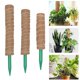 thumbnail image 4 of 40cm Juego de postes de musgo reutilizables para plantas trepadoras, kit de palos de musgo para plantas en macetas, 4 of 5