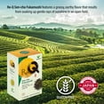 thumbnail image 6 of Maeda-en Re-Q Sen-cha Fukamushi Loose Leaf Green Tea 168 Gram Japanese Origin Hot or Iced Drink Grassy Earthy Flavor, 6 of 8
