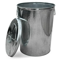 Outdoor Metal Trash Can with Lid, Galvanized Steel Outside Garbage Can, 20 Gallon