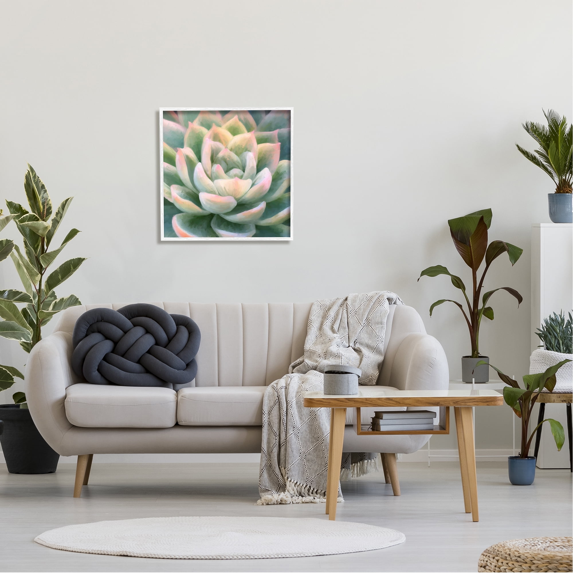 Stupell Industries Green Succulent Petals Botanical & Floral Painting White Framed Art Print Wall Art, 24 x 24