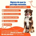 thumbnail image 2 of Dogelthy Suplemento Pelaje Y Piel Perro Skin And Coat 270g, 2 of 5