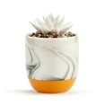thumbnail image 2 of Demdaco Yes You Can Succulent Marbled Orange 4.5 x 3 Ceramic Oil Diffuser, 2 of 3