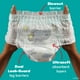 thumbnail image 3 of Pañales Pampers Swaddlers 360, talla 5, 52 unidades, para bebé, 3 of 6