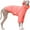 Orange, variant on HQREA Greyhound Windbreaker Jacket Lightweight Dog Outdoor Jacket Coat Turtleneck Whippet Clothes