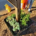 thumbnail image 4 of SnapPot 24" x 12.25" Black Polyethylene Mailbox Planter Box, 4 of 5