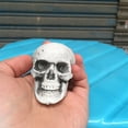 thumbnail image 7 of HaoXun 3PC 5cm Mini Plastic Skull Heads - Realistic Halloween Skeletons for Spooky Party Decor, Indoor/Outdoor Halloween Prop 2025, 7 of 7