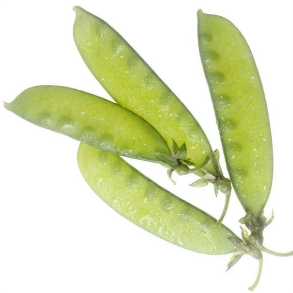 Oregon Giant Snow Pea Peas Stir Fry Seed Packet