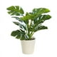 thumbnail image 1 of Bonsái de planta simulada BuyWeek decorativa realista en maceta, 1 of 5