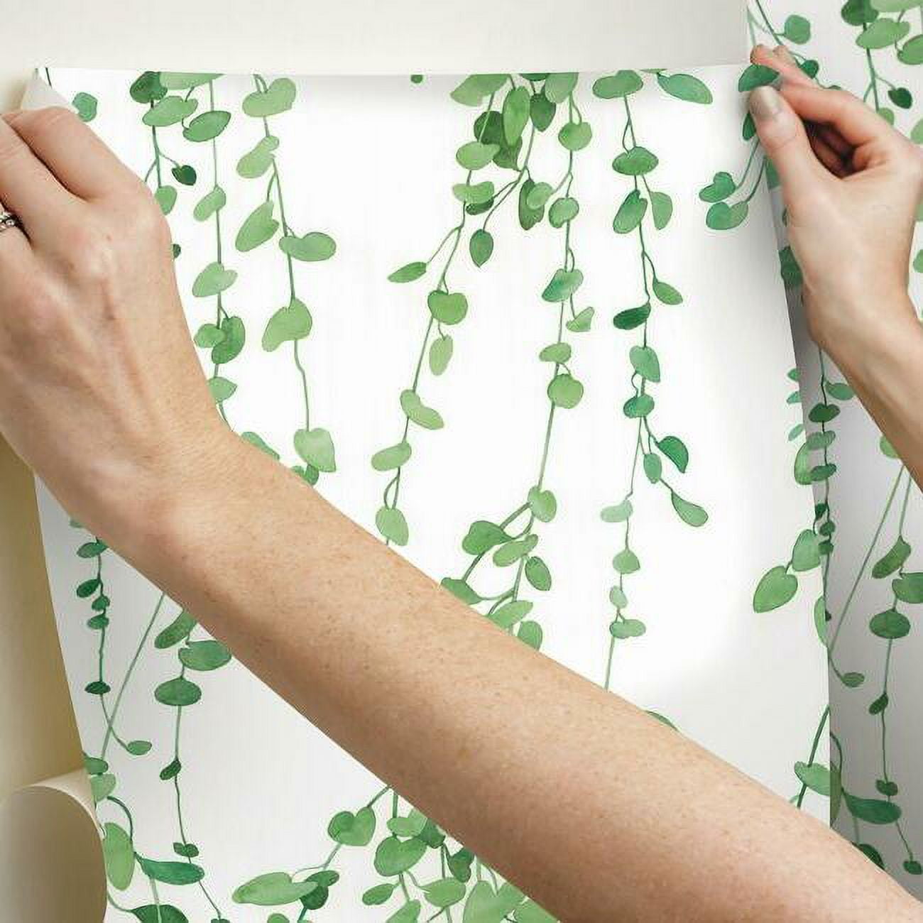 Hanging Watercolor Vines Peel and Stick Wallpaper