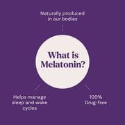 (3 pack) Natrol® 5mg Melatonin Gummies, Sleep Support for Adults, 60 Strawberry-Flavored Gummies, 30 Servings