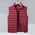 thumbnail image 2 of Kureaily Autumn And Winter Men's Light Down Vest Slim Solid Color Collar Sleeveless Jacket Horse Jacket, 2 of 4
