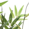 thumbnail image 5 of Pure Garden 5-Foot Artificial Japanese Bamboo Tree in 5-inch Pot (Green), 5 of 5