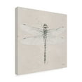 thumbnail image 4 of Trademark Fine Art 'Soft Summer Sketches VI' Canvas Art by James Wiens, 4 of 4