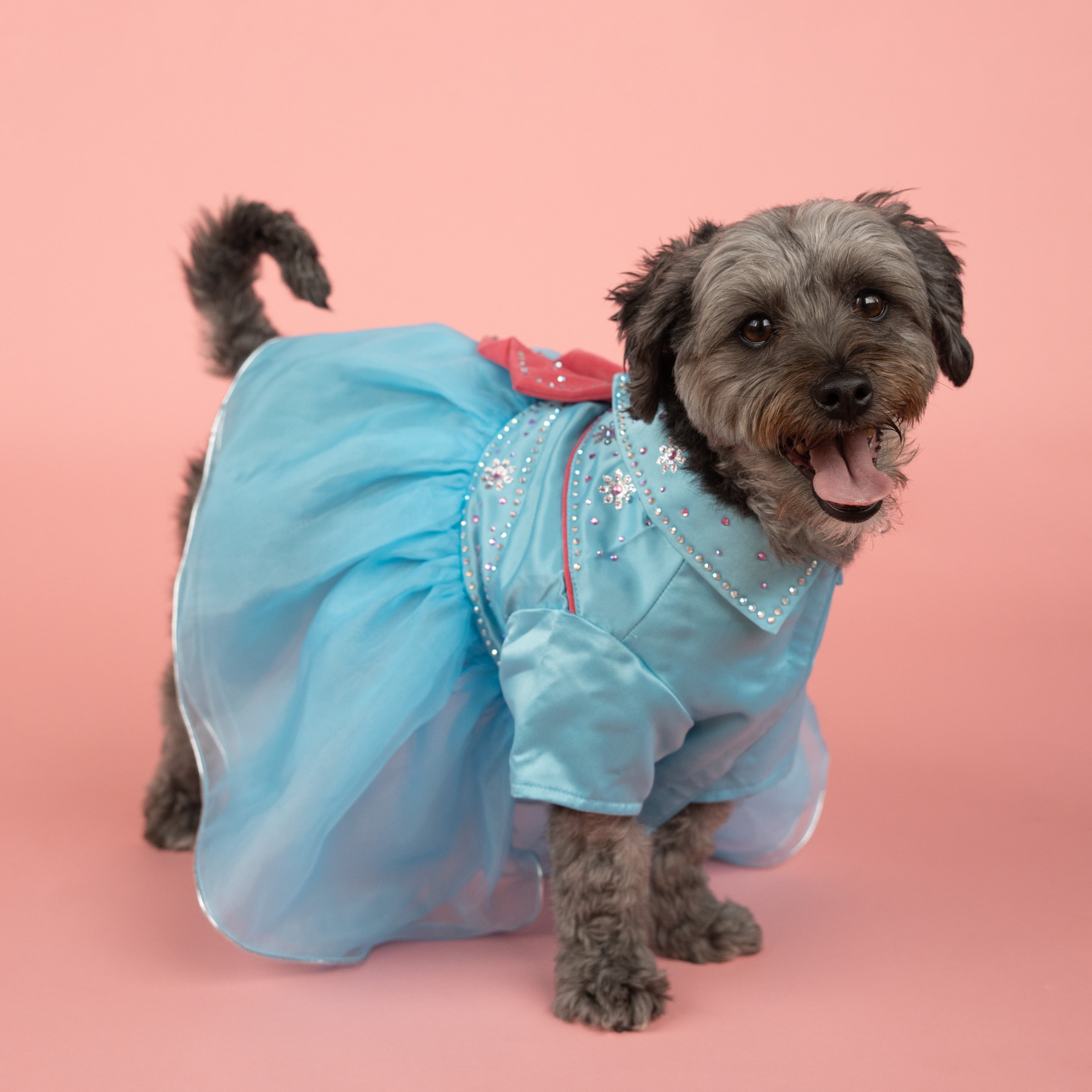 Doggy Parton, Dog and Cat Clothes, Western Rhinestone Tutu Pet Dress, Blue, XS
