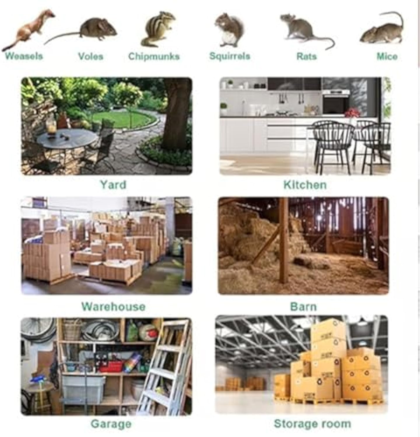 Mouse Trap, Stainless Steel Mouse Trap, Mouse Traps Indoor for Home, Stainless Steel Automatic Mousetrap, Long-Lasting Continuous Mouses Traps, Mouses Traps Cage
