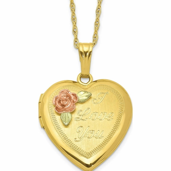 10K Yellow Gold With 12K Accents And 14K Gold-Filled Chain Black Hills Locket (18 X 18.55) Made In United States 10bh680-18